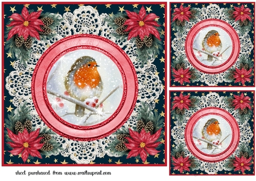 3 Christmas robin card front/toppers 8