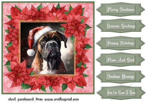 Poinsettia Christmas pup card front 1