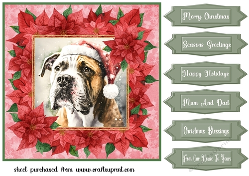 Poinsettia Christmas pup card front 3