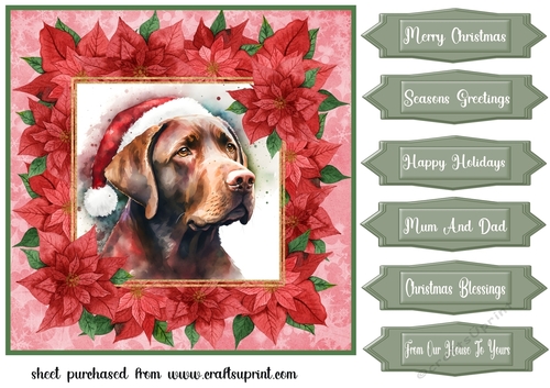 Poinsettia Christmas pup card front 4