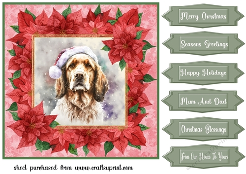 Poinsettia Christmas pup card front 5
