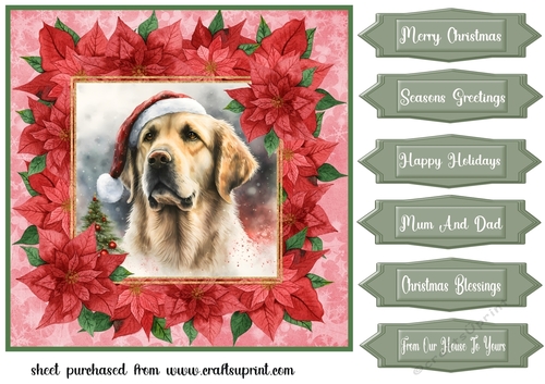 Poinsettia Christmas pup card front 6