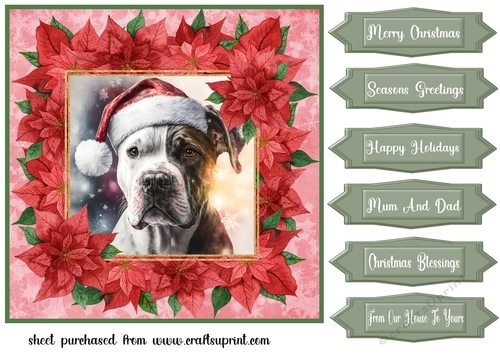 Poinsettia Christmas pup card front 7