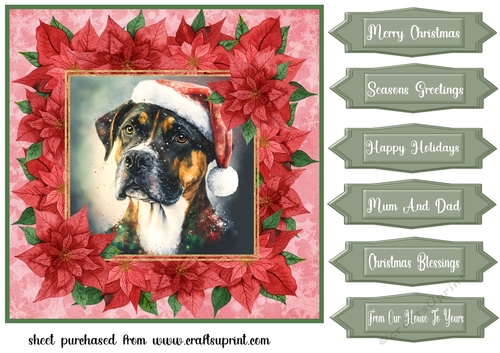 Poinsettia Christmas pup card front 8
