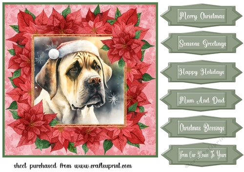 Poinsettia Christmas pup card front 9