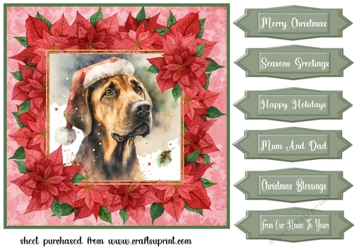 Poinsettia Christmas pup card front 10