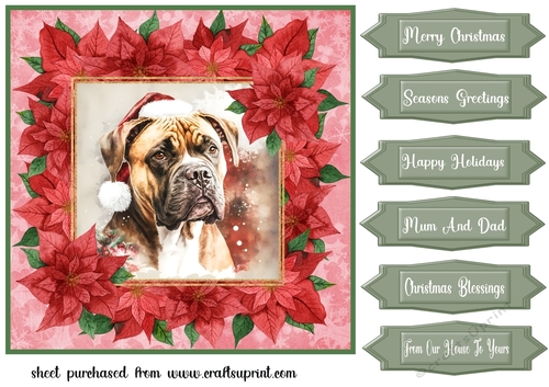 Poinsettia Christmas pup card front 12