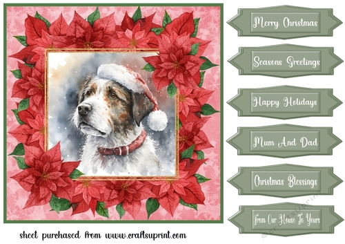 Poinsettia Christmas pup card front 13