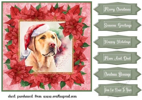 Poinsettia Christmas pup card front 14