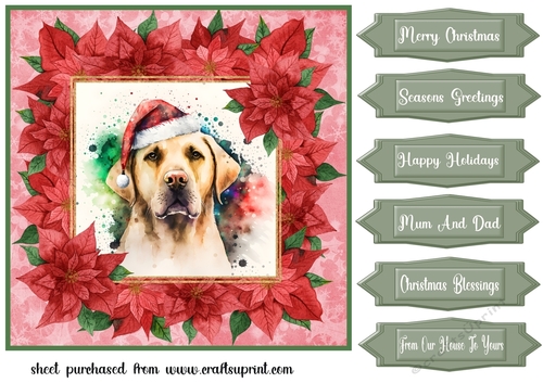 Poinsettia Christmas pup card front 15