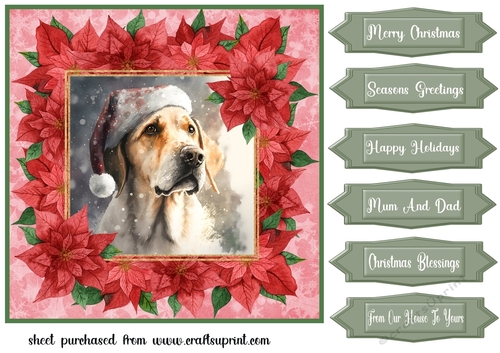 Poinsettia Christmas pup card front 17