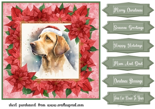 Poinsettia Christmas pup card front 18