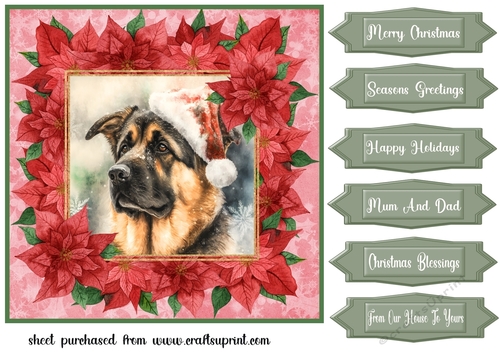 Poinsettia Christmas pup card front 19