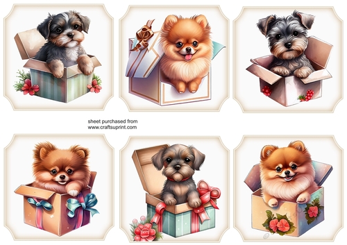 6 Puppies in presents toppers 1