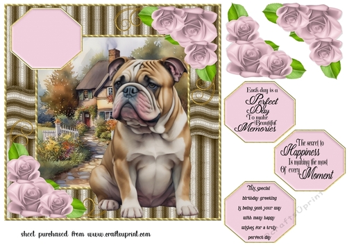 Bull dog card front 1