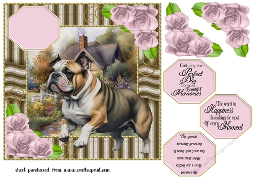 Bull dog card front 2