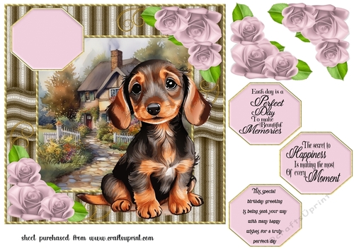 Dachshund dog card front 2