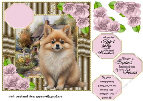 Pomeranian dog card front 1