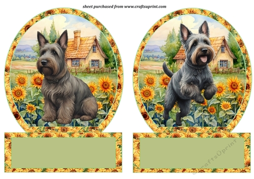 2 Sunflower Scottie toppers 1