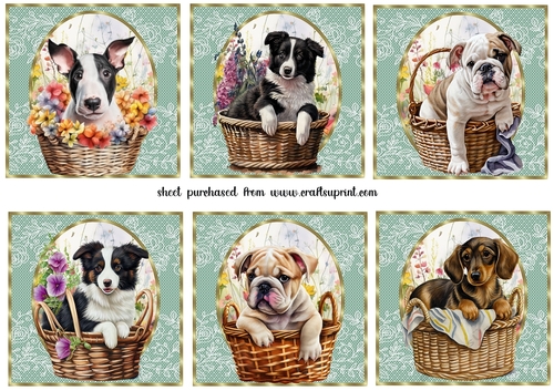6 Floral pup toppers 1