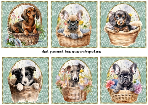 6 Floral pup toppers 2