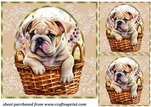3 Floral pup in basket card front/toppers 4