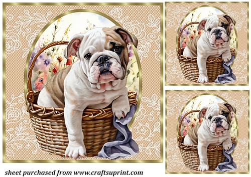 3 Floral pup in basket card front/toppers 5