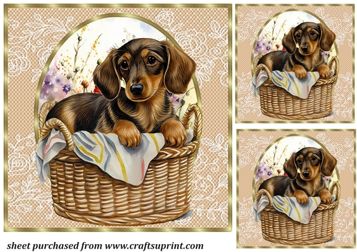 3 Floral pup in basket card front/toppers 6