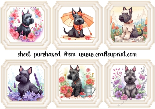 6 Summer Scottie toppers