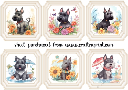 6 Summer Scottie toppers 2
