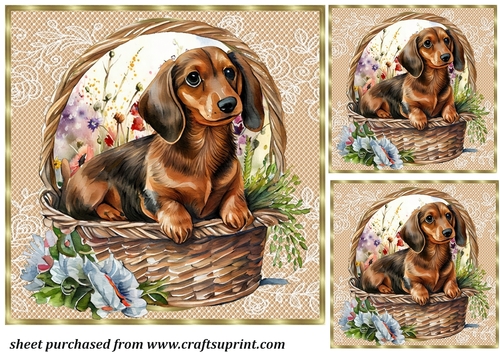 3 Floral pup in basket card front/toppers 7