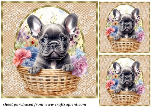 3 Floral pup in basket card front/toppers 8