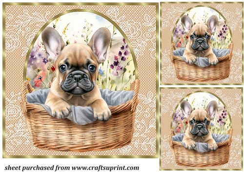 3 Floral pup in basket card front/toppers 12