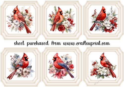 6 Christmas cardinal toppers