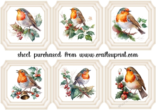 6 Christmas robin toppers(framed) 1