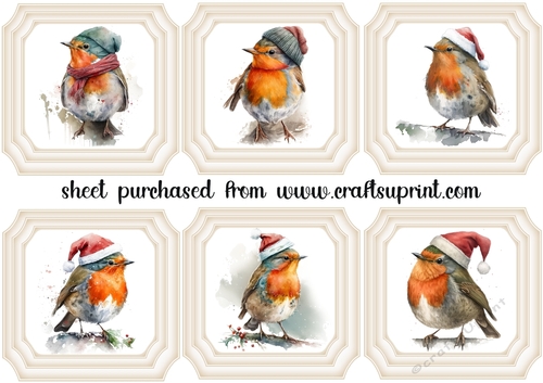 6 Christmas robin toppers(framed) 2