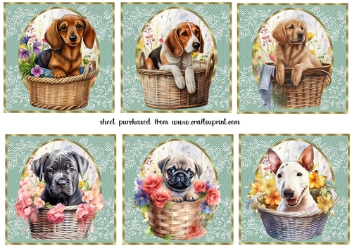 6 Floral pup in basket toppers 4