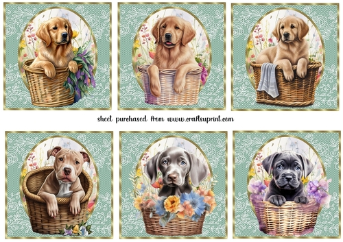 6 Floral pup in basket toppers 5