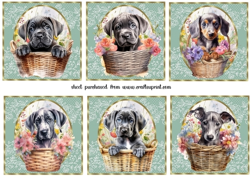 6 Floral pup in basket toppers 6
