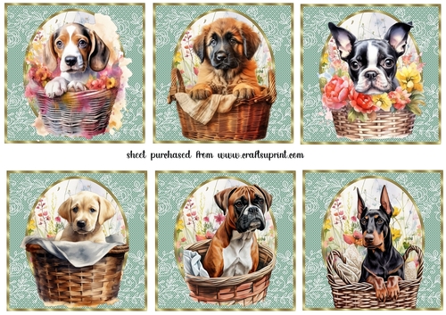 6 Floral pup in basket toppers 7
