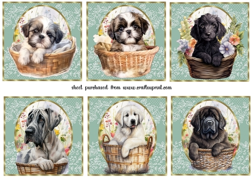 6 Floral pup in basket toppers 8