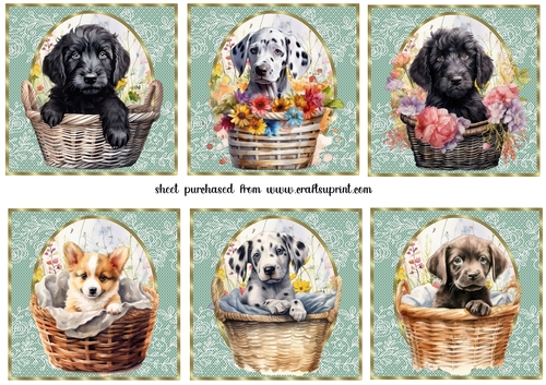 6 Floral pup in basket toppers 9