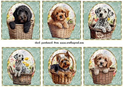 6 Floral pup in basket toppers 10