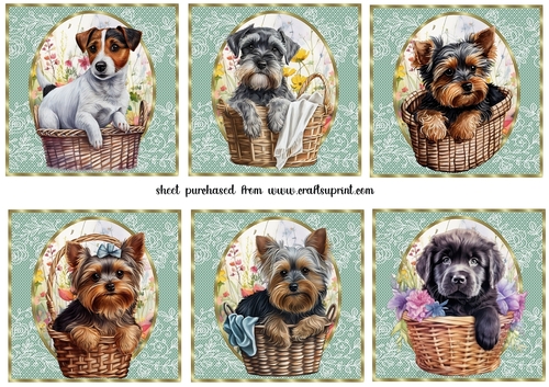 6 Floral pup in basket toppers 11