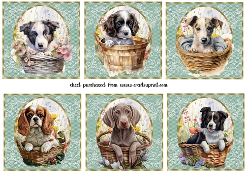 6 Floral pup in basket toppers 12
