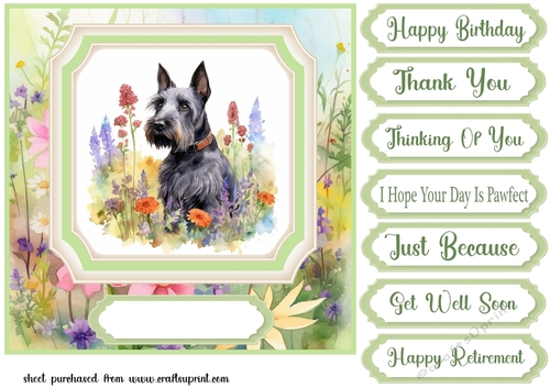 Floral Scottish Terrier card front 3