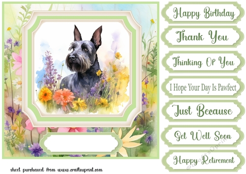 Floral Scottish Terrier card front 4