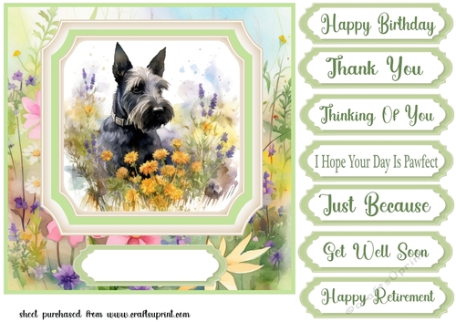 Floral Scottish Terrier card front 5