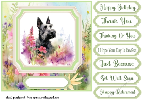 Floral Scottish Terrier card front 6