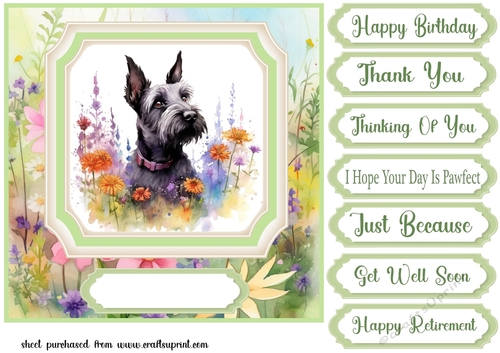 Floral Scottish Terrier card front 7